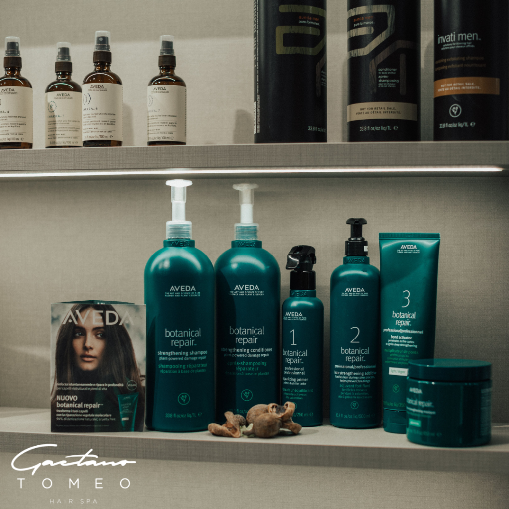 Aveda Botanical Repair